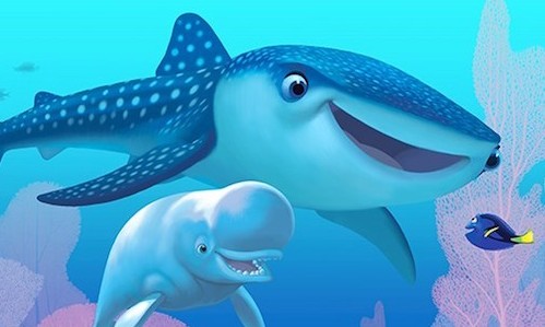findingdory3