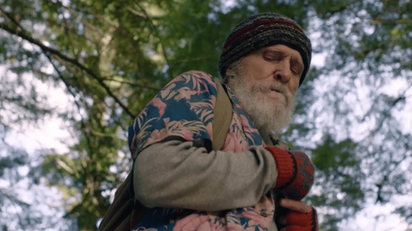 Screen Shot 2017-08-01 at 4.31.30 pm