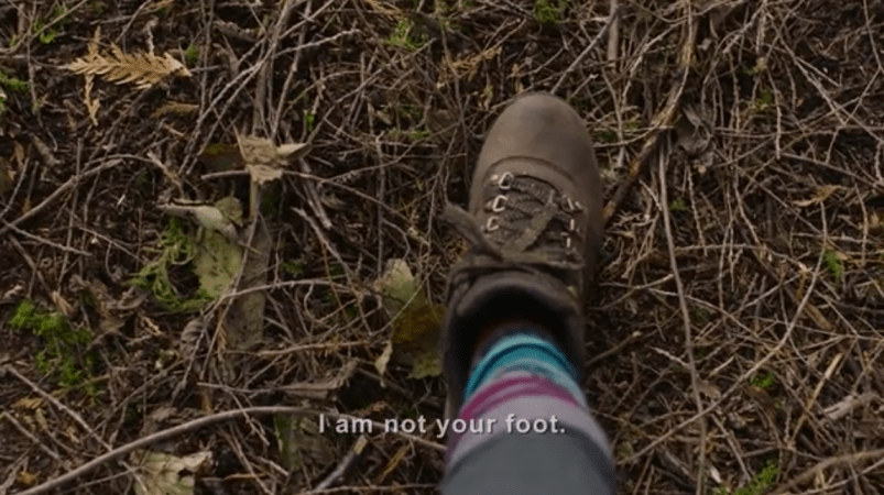 Screen Shot 2017-08-01 at 4.39.51 pm