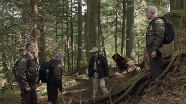 Screen Shot 2017-08-14 at 11.34.04 am